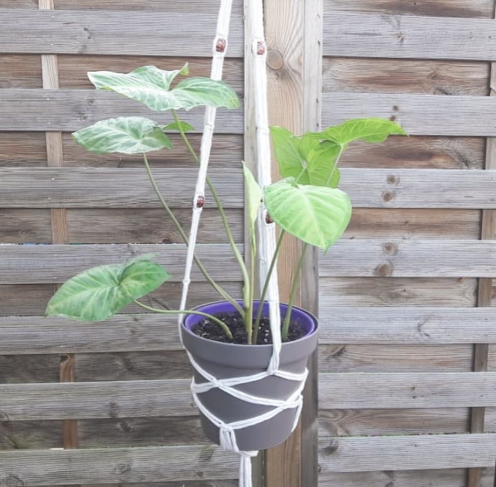 Pot De Fleurs Suspension Pour Plantes En Macramé Pour Jardin Et