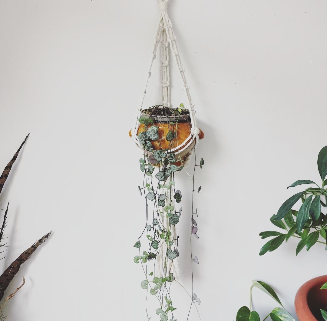 Suspension pour plante pot en macramé, création artisanale, fait main en France, décoration intérieur bohème