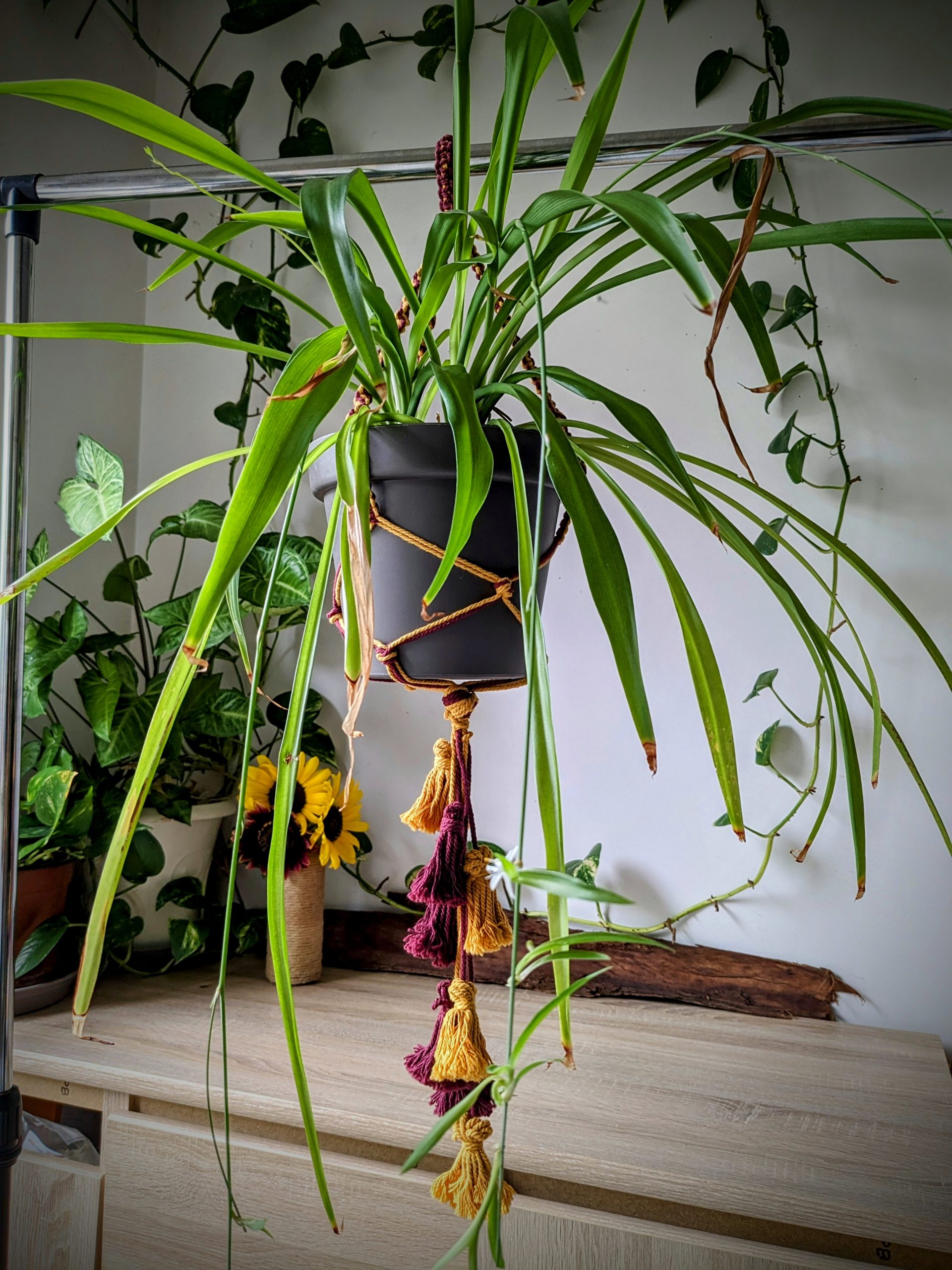 Suspension pour plante/vase en macramé safran et amarante avec pompons -  Ann'trape-rêves